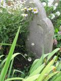 image of grave number 461776